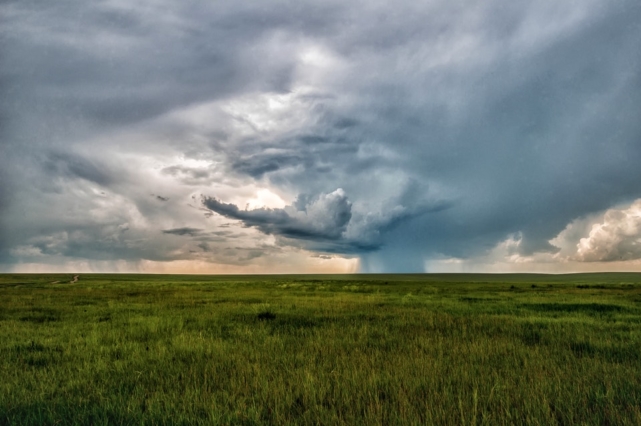 A green field with a storm in the background.